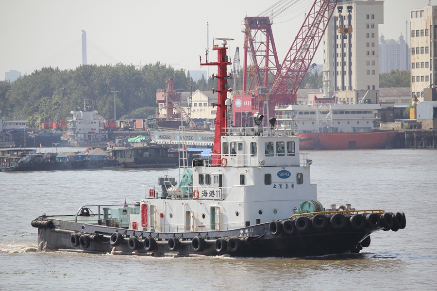 ����11 (2).jpg