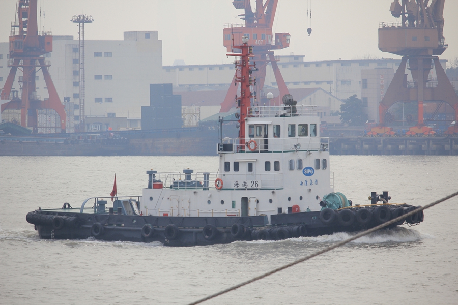 ����26 (2).jpg