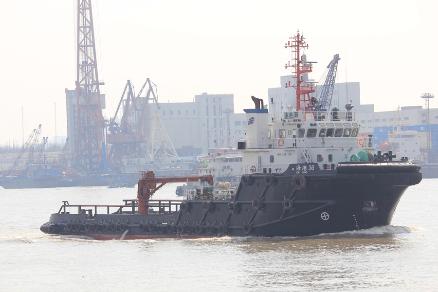 ����36 (4).jpg