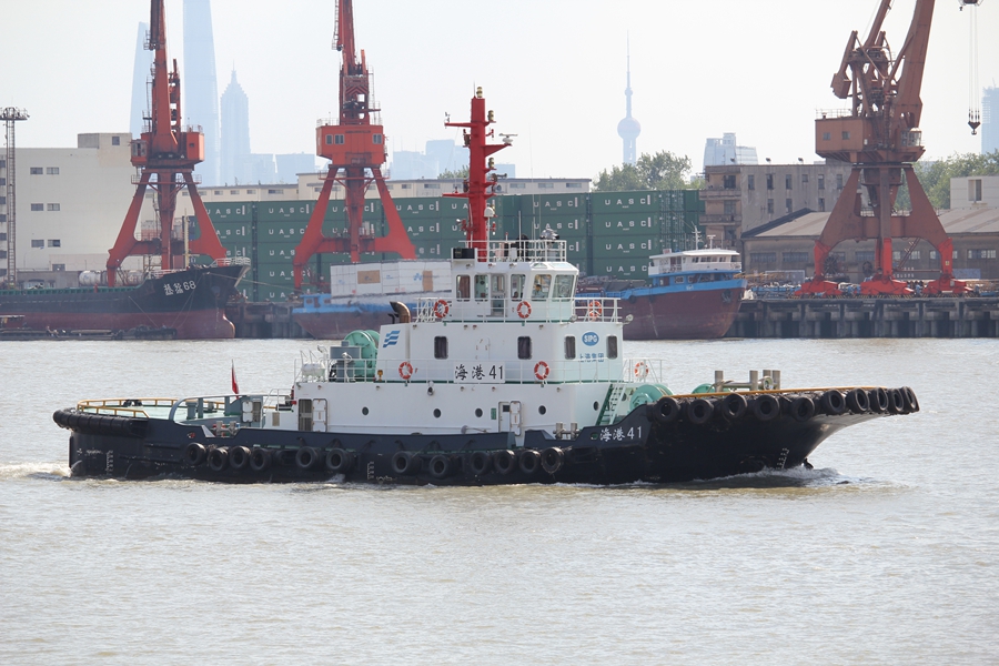 ����41 (2).jpg